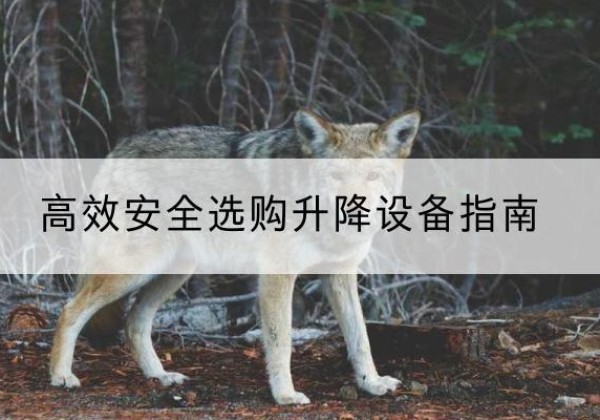 昂仁升降货梯厂家推荐-*安全选购升降设备指南