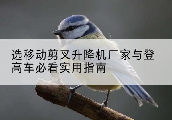 昂仁电动升降机厂家-选移动剪叉升降机厂家与登高车必看实用指南