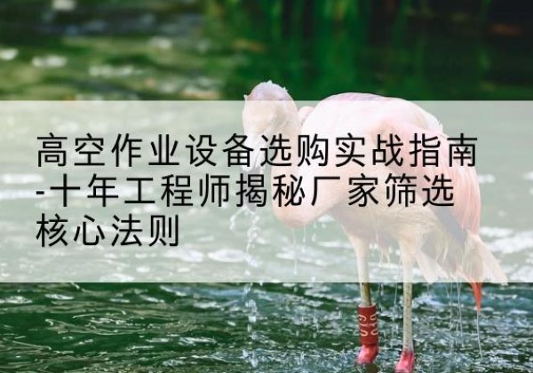 昂仁剪叉式升降机厂家-高空作业设备选购实战指南-十年工程师揭秘厂家筛选核心法则